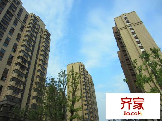 琥珀森林整體（2014-9-16）