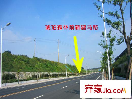 琥珀森林門前道路（2014-9-16）