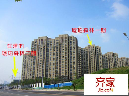 琥珀森林整體（2014-9-16）