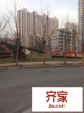 梧桐大道外景圖 