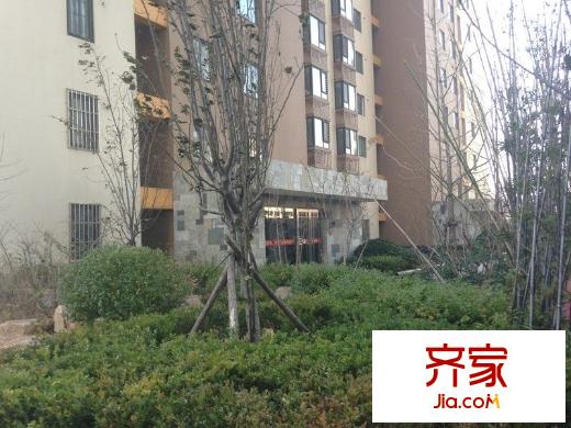 花好月圓外景圖 