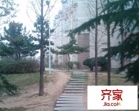 浮山后六小區(qū)外景圖 
