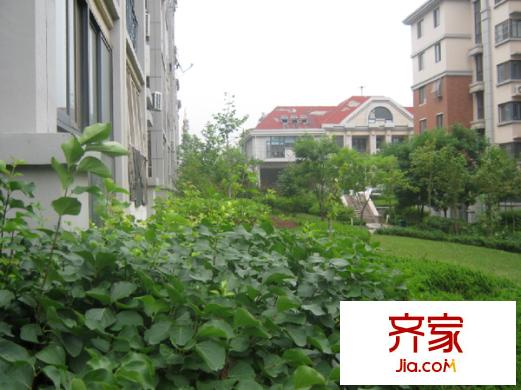 百通馨苑三區(qū)外景圖 