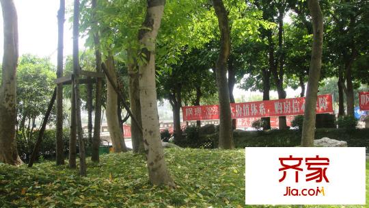 楓平方米398F區(qū) 