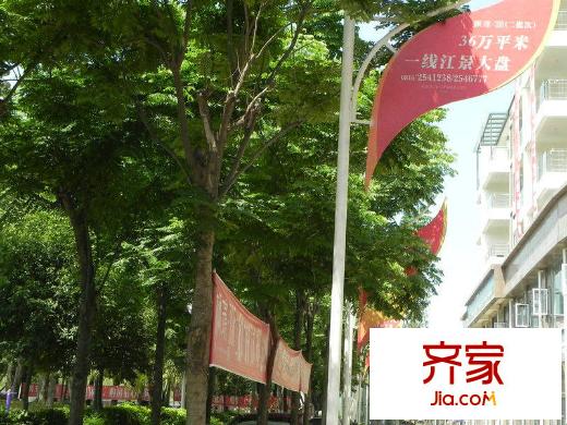 楓平方米398F區(qū) 
