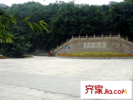 樹(shù)高威尼斯城周邊南山公園