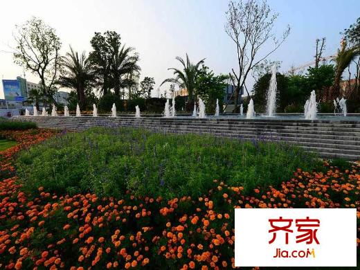 卓信金楠天街實(shí)景圖