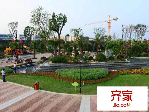 卓信金楠天街實(shí)景圖