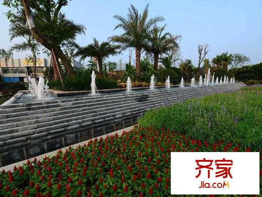 卓信金楠天街實(shí)景圖