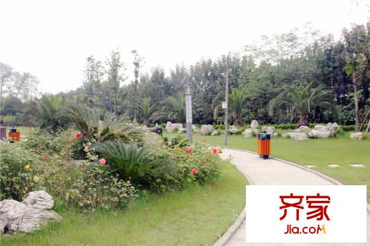 海珂花郡實(shí)景圖