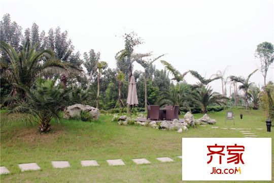 海珂花郡實(shí)景圖