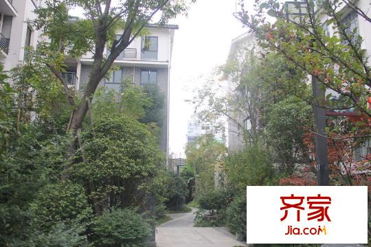 長虹南山一號實(shí)景圖