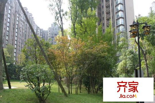 三江國(guó)際麗城閱世集閱世集實(shí)景2