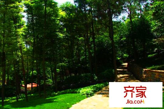林海山莊實(shí)景2