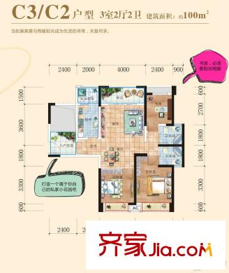九洲?又一城戶型單頁C3C2 3室2廳2衛(wèi)1廚