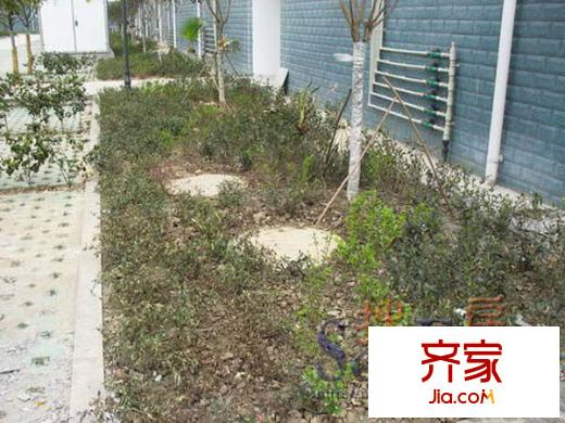 上河美地實景圖幻燈圖