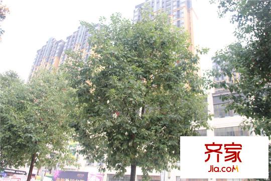 神州南都外景圖