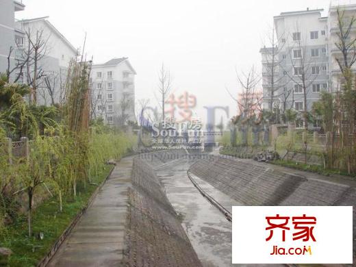 凱麗濱江實(shí)景圖