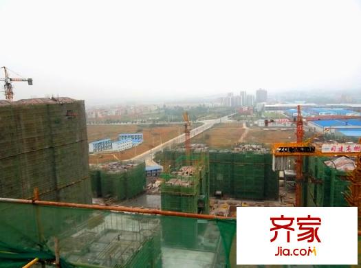 樹(shù)高卡地亞工程進(jìn)度圖2012-11-12 