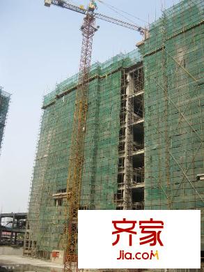 樹(shù)高卡地亞1#樓三單元2011-08-09 