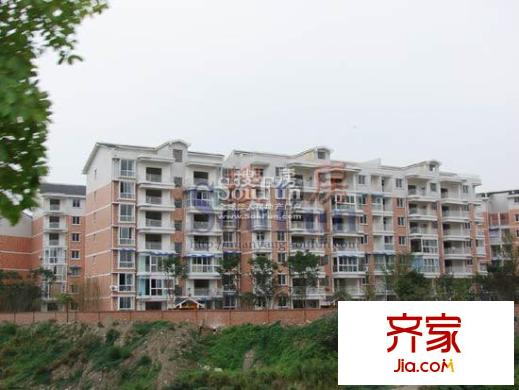 陽光水岸實景圖