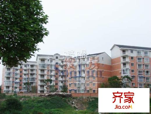 陽光水岸實景圖