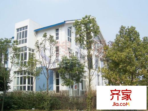 倍特林郡外景圖實景圖