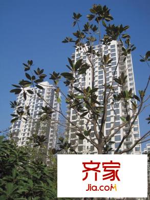 康大鳳凰國際外景圖