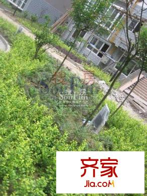 錦繡山城實景圖 