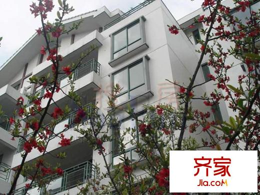 芙蓉漢城實(shí)景圖 