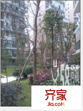 萬(wàn)豪尊品外景圖n_16245593231373