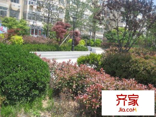 升平路小區(qū)外景圖 