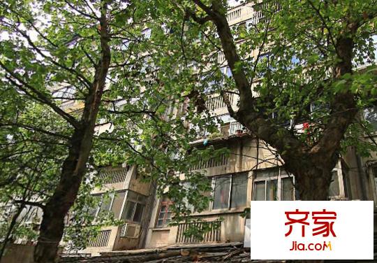 金水公寓外景圖10