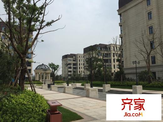 富力十號(hào)外景圖