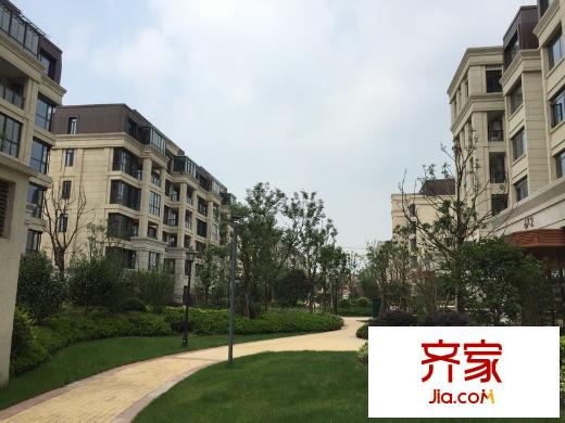 富力十號外景圖