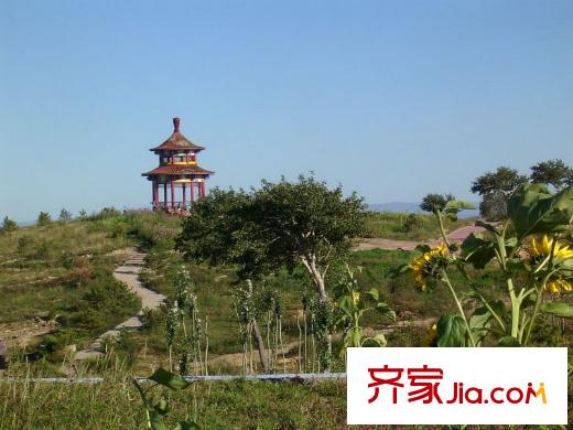 協(xié)鑫?鑫尚協(xié)鑫鑫尚向西約200米泉山森林公園