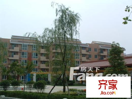 城市楓景