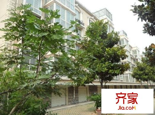 龍泉花園外景圖 