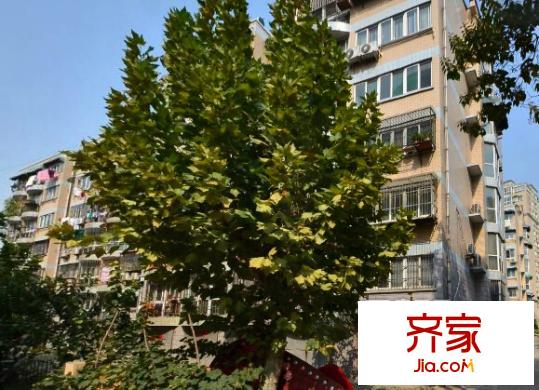 薇園小區(qū)外景圖5