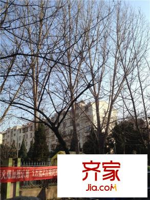 綠苑花園外景圖 