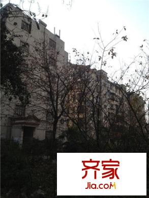 綠苑花園外景圖 