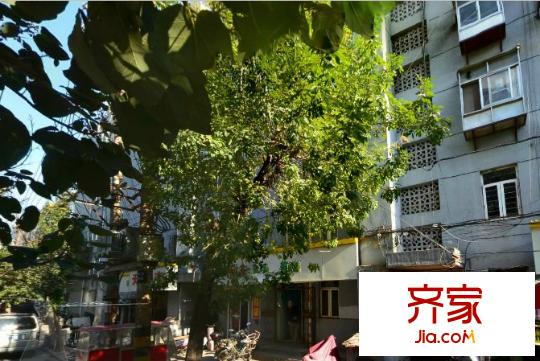 明理小區(qū)外景圖3