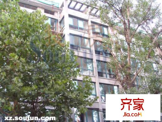 南山庭院外景圖實景圖