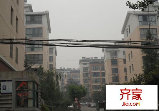 南山庭院外景圖SAM_1279