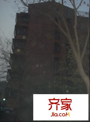 劉場(chǎng)世紀(jì)花園外景圖 