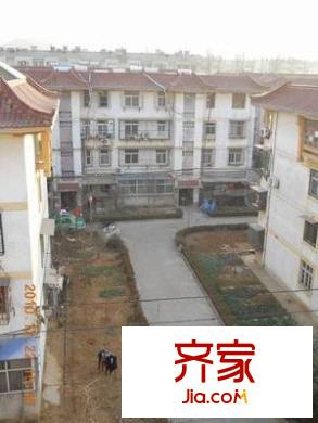 金泰小區(qū)外景圖 
