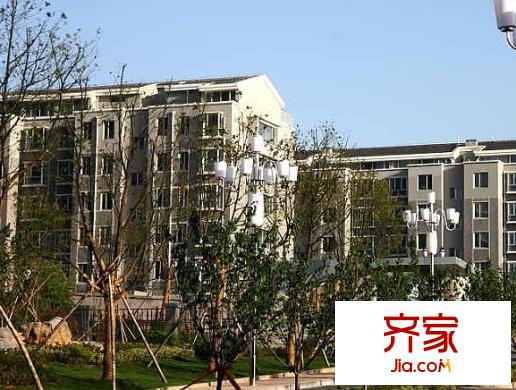 協(xié)豐森林灣外景圖徐州  
