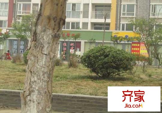 和園愛家外景圖照片 087
