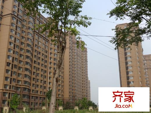 中茵龍湖國際（2013-10-8）