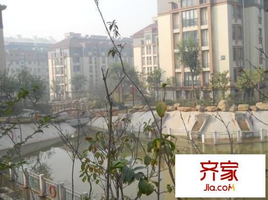 錦繡濱湖外景圖 